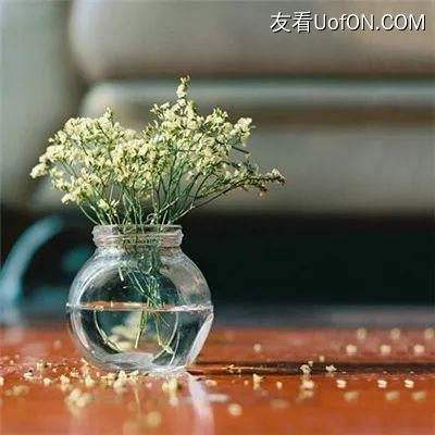小米热血战纪手游下载